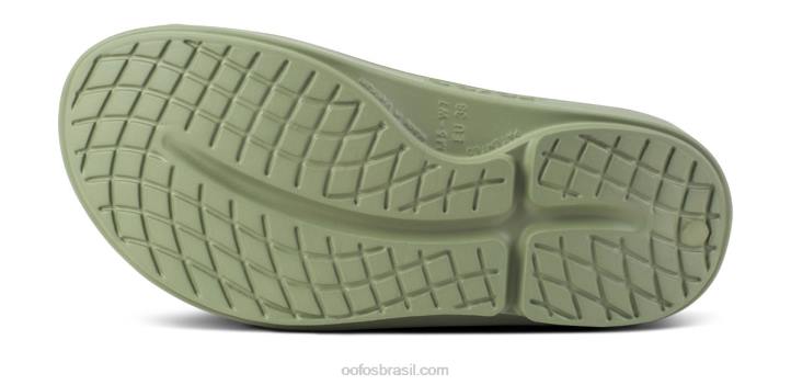 trópicos sábios OOFOS sandália masculina ooahh slide limitada 62V2118