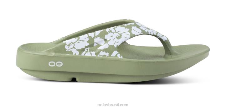 trópicos sábios OOFOS sandália masculina ooriginal limitada 62V2117