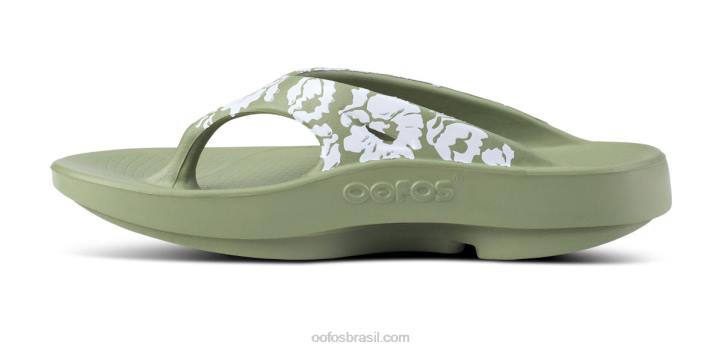 trópicos sábios OOFOS sandália masculina ooriginal limitada 62V2117