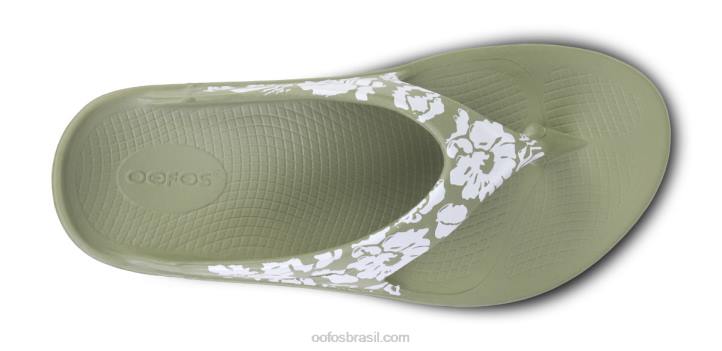 trópicos sábios OOFOS sandália masculina ooriginal limitada 62V2117